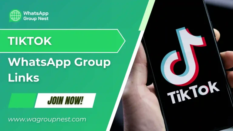 tiktok whatsapp link